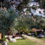 Campeggio Belvedere